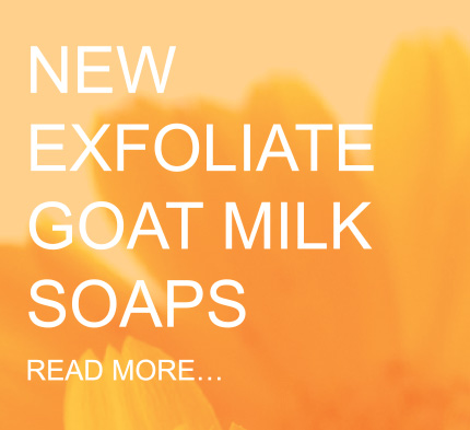 New Goat Milk Soaps with Eucalyptus or Oat Bran Exfoliate
